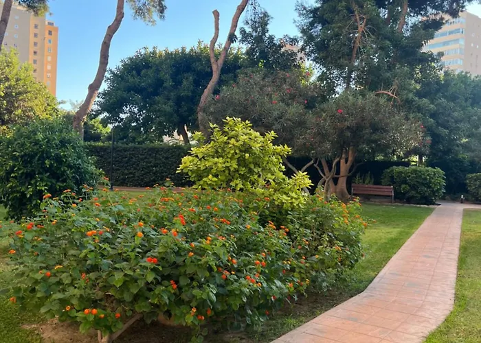 Playamar 212 Τορρεμολίνος